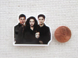 Second view of Twilight Family Needle Minder.