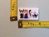 Third view of the The Ladies of Evil Needle Minder