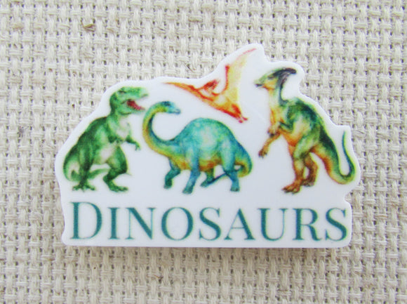 First view of dinosaurs needle minder.