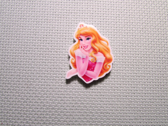 First view of the Aurora Needle Minder