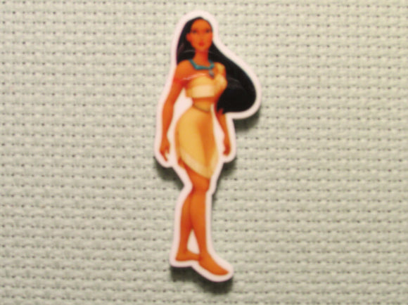 First view of the Pocahontas Needle Minder