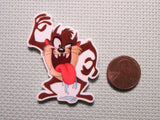 Second view of the Tazmanian Devil Needle Minder