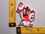 Third view of the Tazmanian Devil Needle Minder