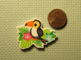 Second view of the Toucan Needle Minder